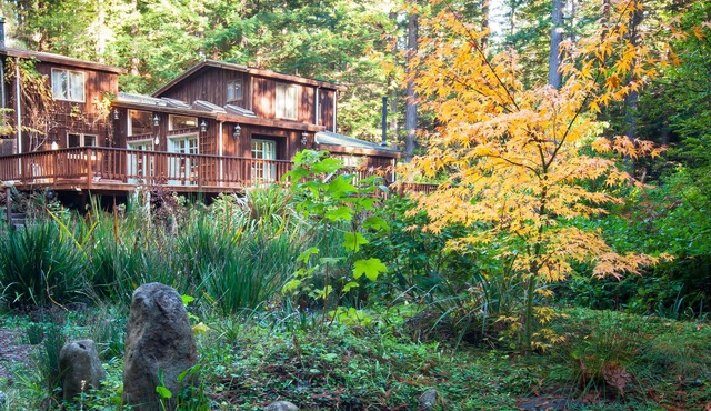 Mendocino Handcrafted 6000 sqft Lodge Views tallest Redwoods & Zen Pond Garden