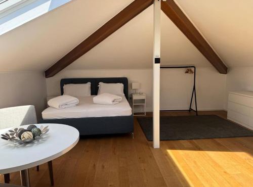 Mendrisio Deluxe Apartament Bagno Privato Esterno