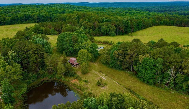 Mennonite Built Cabin on 81 acres surrounded by 30,000 acres of state park