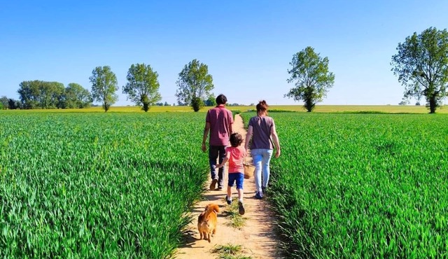 Merchant's Nook 1 bedroom property and private garden in Upton, Broadland