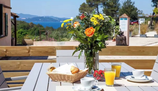 Merlot - Domaine de la Navicelle