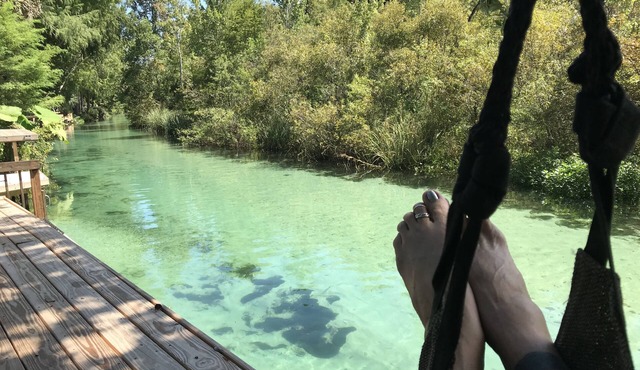 Mermaids, Manatees, Kayaking, Swimming in the Spring Waters of the Weeki Wachee