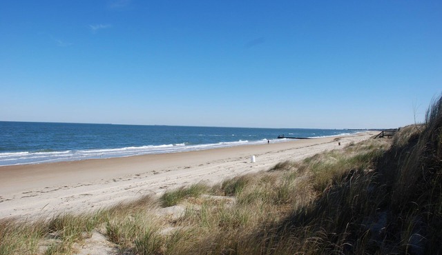 Mermaids & Mutts (3-Bedroom Bungalow) - Pets Allowed by RedAwning