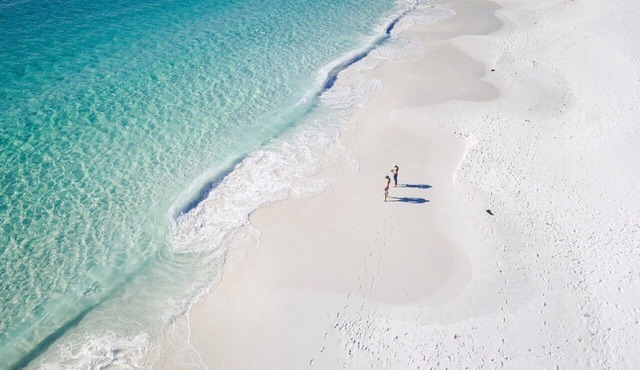 Meroo Meadow Magic - Charming Cottage Retreat