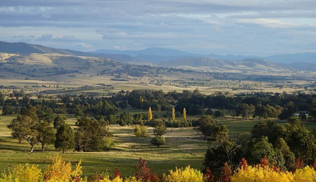 Merrimont Downs - Off Mountain Farm Stay