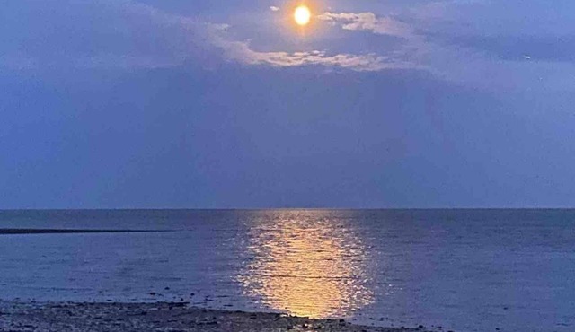 Mersea Island Retreat - 4 Bedroom House