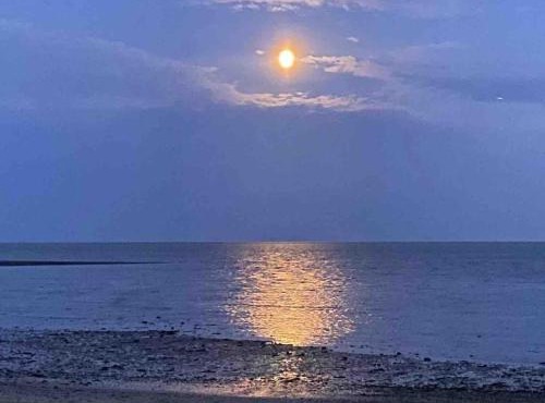 Mersea Island Retreat - 4 Bedroom House