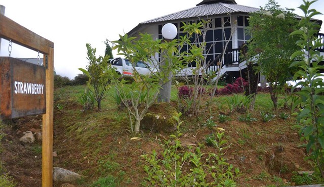 Mesilau Mountain Retreats