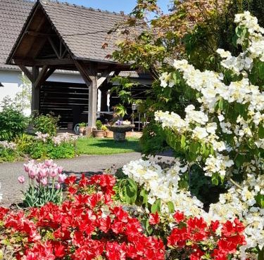 Meublé tout confort à la campagne