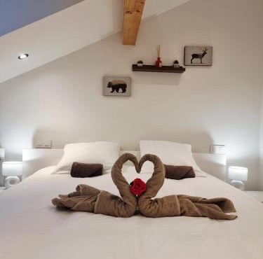 Meublé 3* neuf entre lacs, montagnes et bauges.