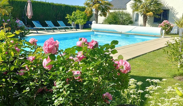 Meublé 3 * piscine campagne 4 pers Châteaux de la Loire - Beauval Zoo