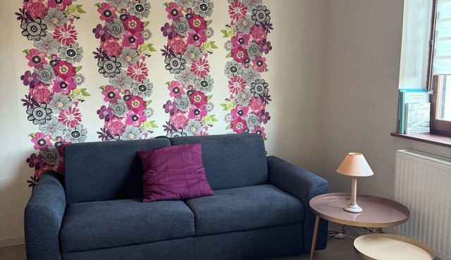 Meublé de tourisme* in the Vosges du Nord, fenced garden, pets welcome