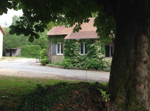 Meublé de tourisme "Les brosses tillots"