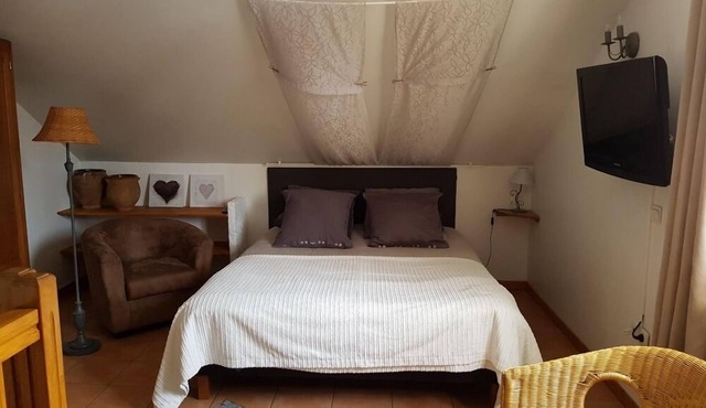 Meublé N°1 - La Mansarde-Duplex-Ensuite with Shower-Apartment-Garden view