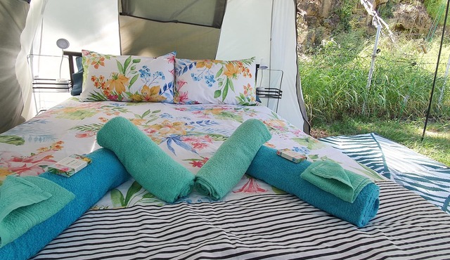 Meyenburg Luxury Tent with shared bathroom/kitchen/lounge