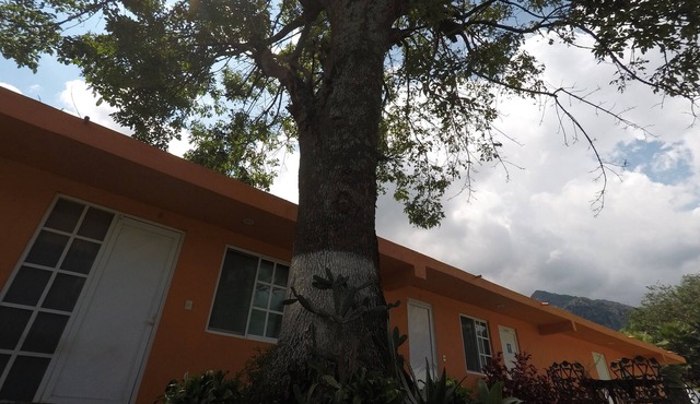 Mi Casa en Tepoz, renta total hasta para 24 personas