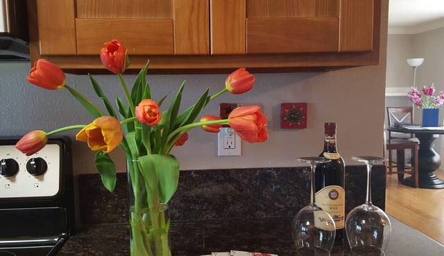 Mi Casa Su Casa, Napa Valley Vacation Rental