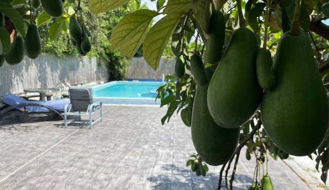 Miami Private Home with Large Pool