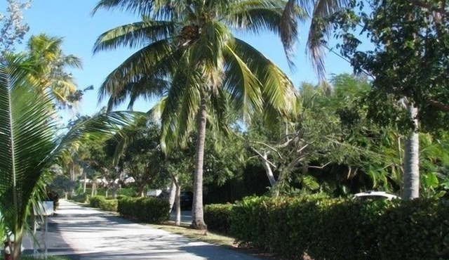 Miami World Cup 4 BR 2 BA 7mins Walk to Beach, Hot Tub, Restr, Bars, Golfing!