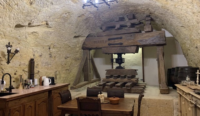 Michelangelo at our 'Clos Lussault' near Amboise in the Loire Valley