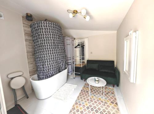 Micro studette indépendante non-fumeur, 10 m2, 45 min de Paris, sanitaires dans la même pièce que le couchage sans cloison, WiFi, kitchenette, mini terrasse, jardin, canapé lit 120x180 cm, gabarit léger, non adapté aux attentes hôtelières