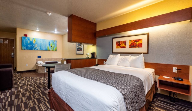 Microtel Inn & Suites by Wyndham Ocala