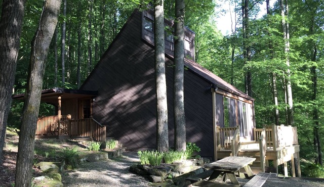Mid-century A-frame style cabin with lake views near the heart of Amish Country