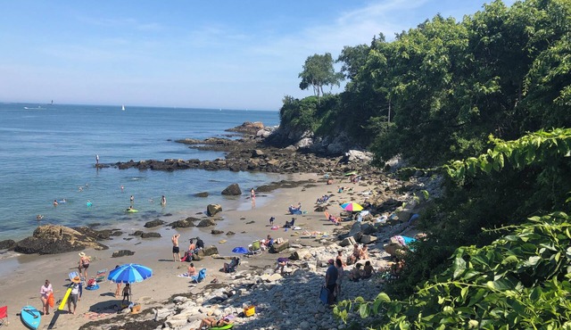 Mid Century Modern Beach Bungalow