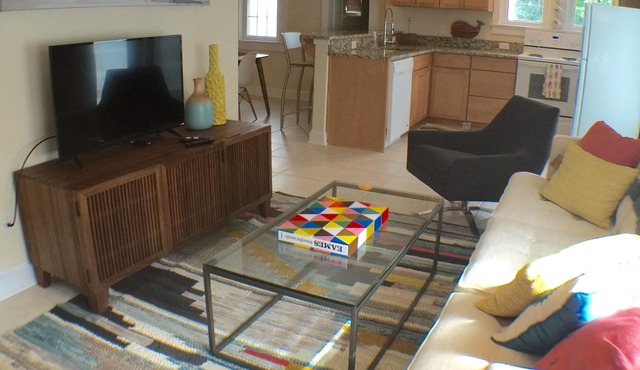 Mid century modern 1 bedroom apartment