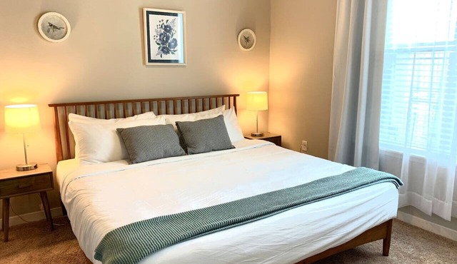 Mid-Century Modern 1KB | Heart of TMC Free Parking