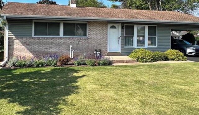 Mid-century Modern Beauty