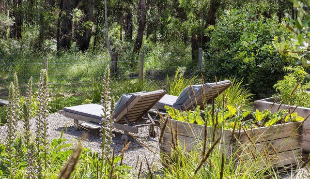 Mid-century modern haven in Red Hill