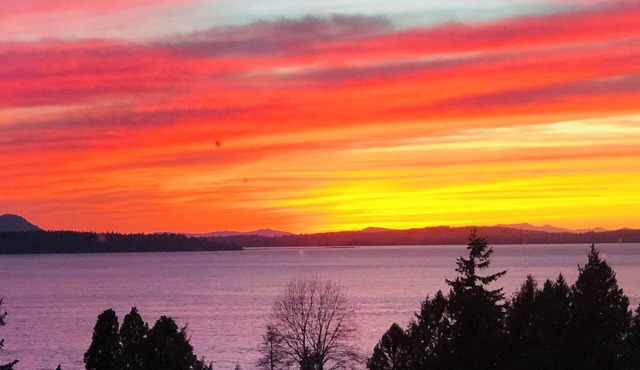 Mid-Century Modern PNW Retreat - views, privacy, prime location