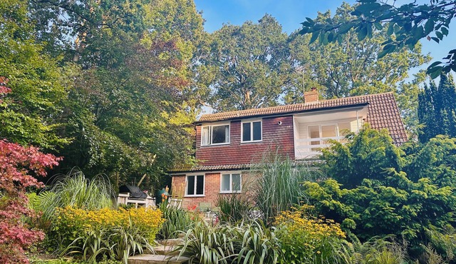 MID-CENTURY MODERN, pet friendly, with a garden in Hastings