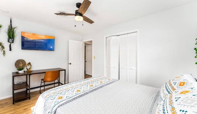 🌳 MID CENTURY OAK TREE 🌳 by Downtown Orlando