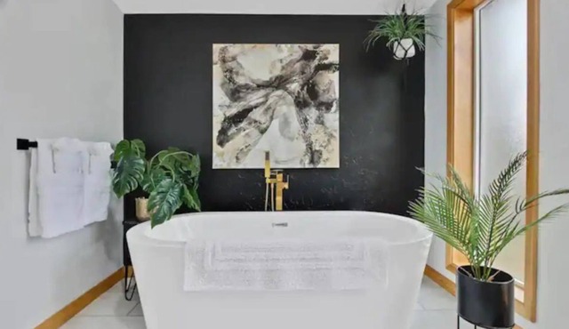 Mid-Mod Haven by Boise Airport