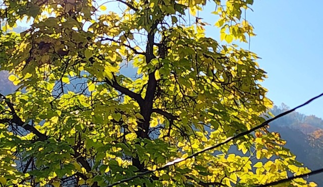 Mid-term rental. Discount 50% for parties < 3. Minimum stay 30 days