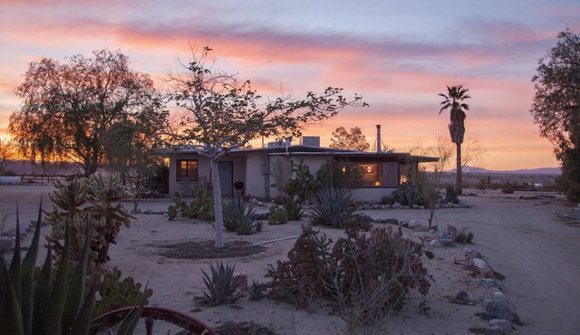 Midcentury Desert Escape