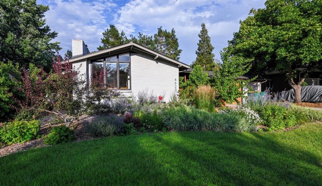 Midcentury Gem in Wheat Ridge with Fire Pit and Wood-Fired Oven