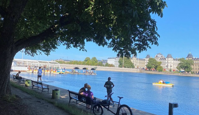 Midcentury italian design gem