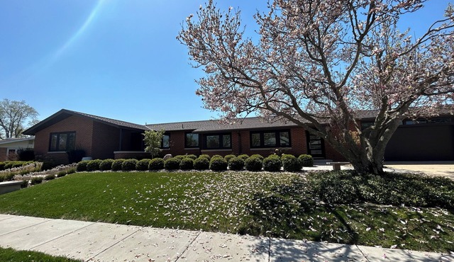 Midcentury Modern Three Bedroom Oasis in the heart of Madrid