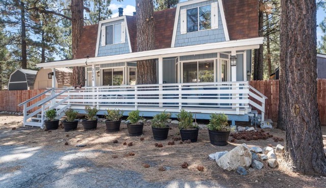 Middle Bear Chalet