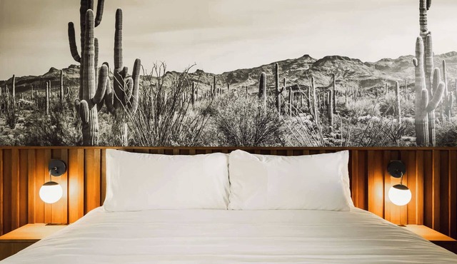 Midnight Cactus Room | La Vista Motel | 203