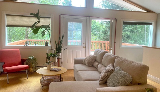 Midnight Sun Corporate Loft - near downtown + trails with lots of light!