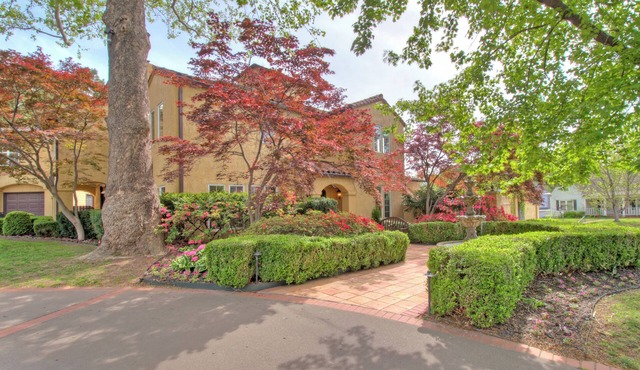 Midtown Mediterranean Oasis