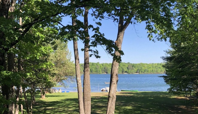 Mighty Oak Cabins at Anvil Lake - Bur Oak #3