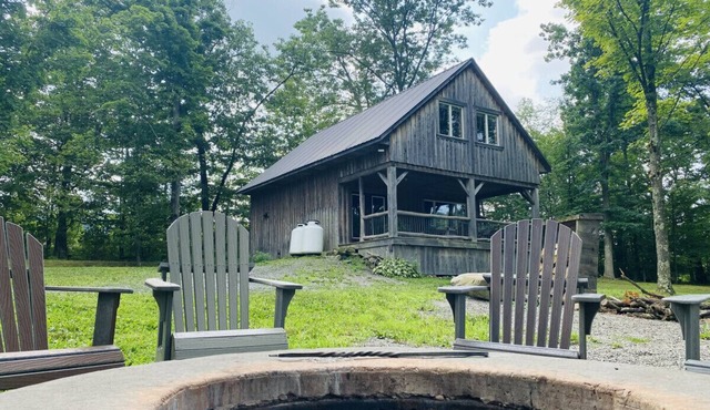 Mighty Oak near Sayre Towanda