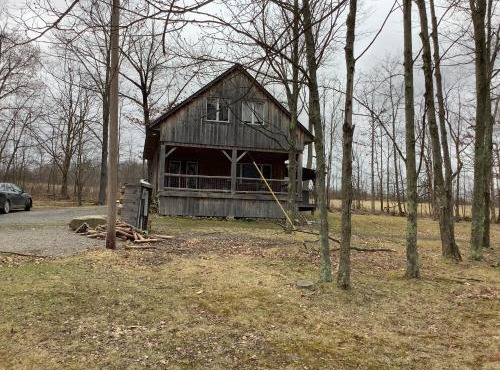 Mighty Oak near Sayre Towanda