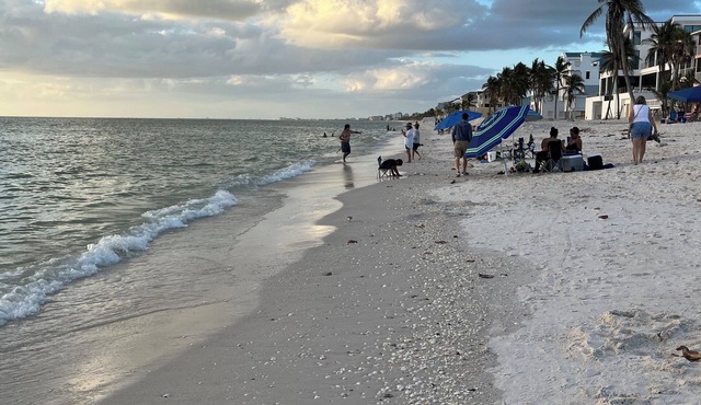 Miles of beach right across the street. Enjoy ocean view from screened balcony!