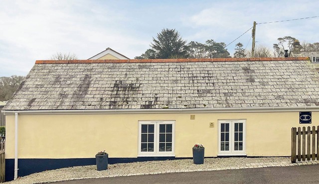 Milking Parlour - UK49026